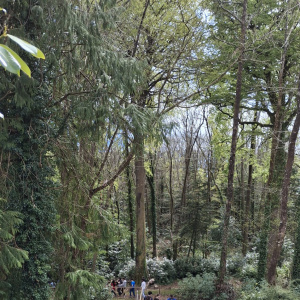 IMG-20260410-WA0024